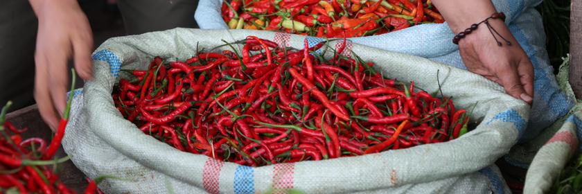 Chili in Säcken