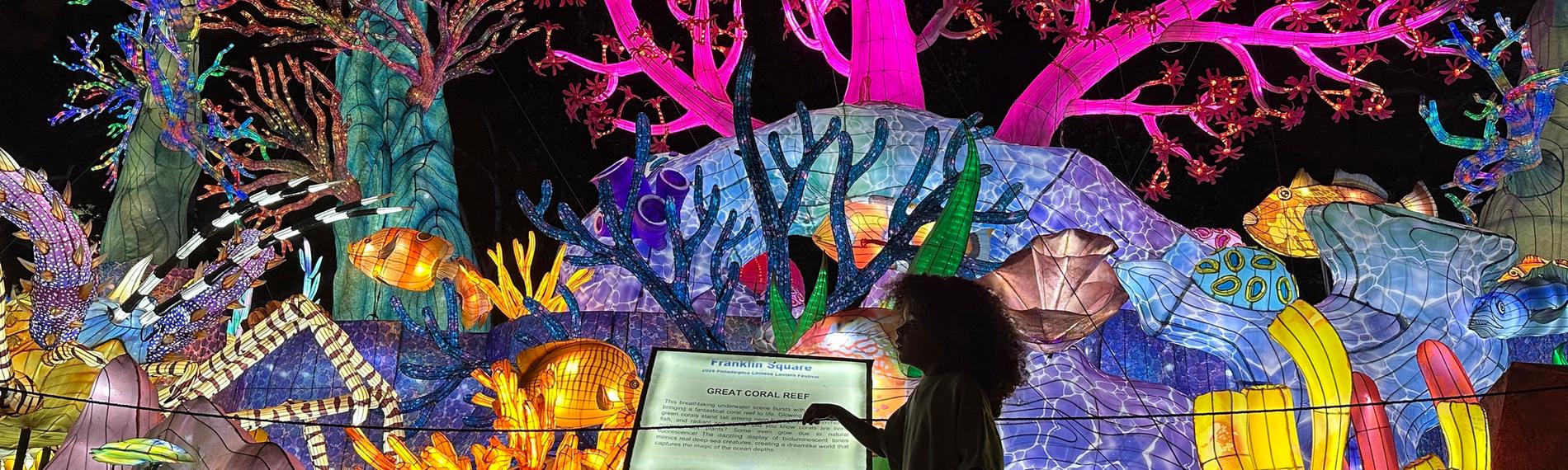 Ein Mädchen bewundert ein bunt leuchtendes Kunstwerk aus Laternen. Es zeigt das Great-Barrier-Reef.