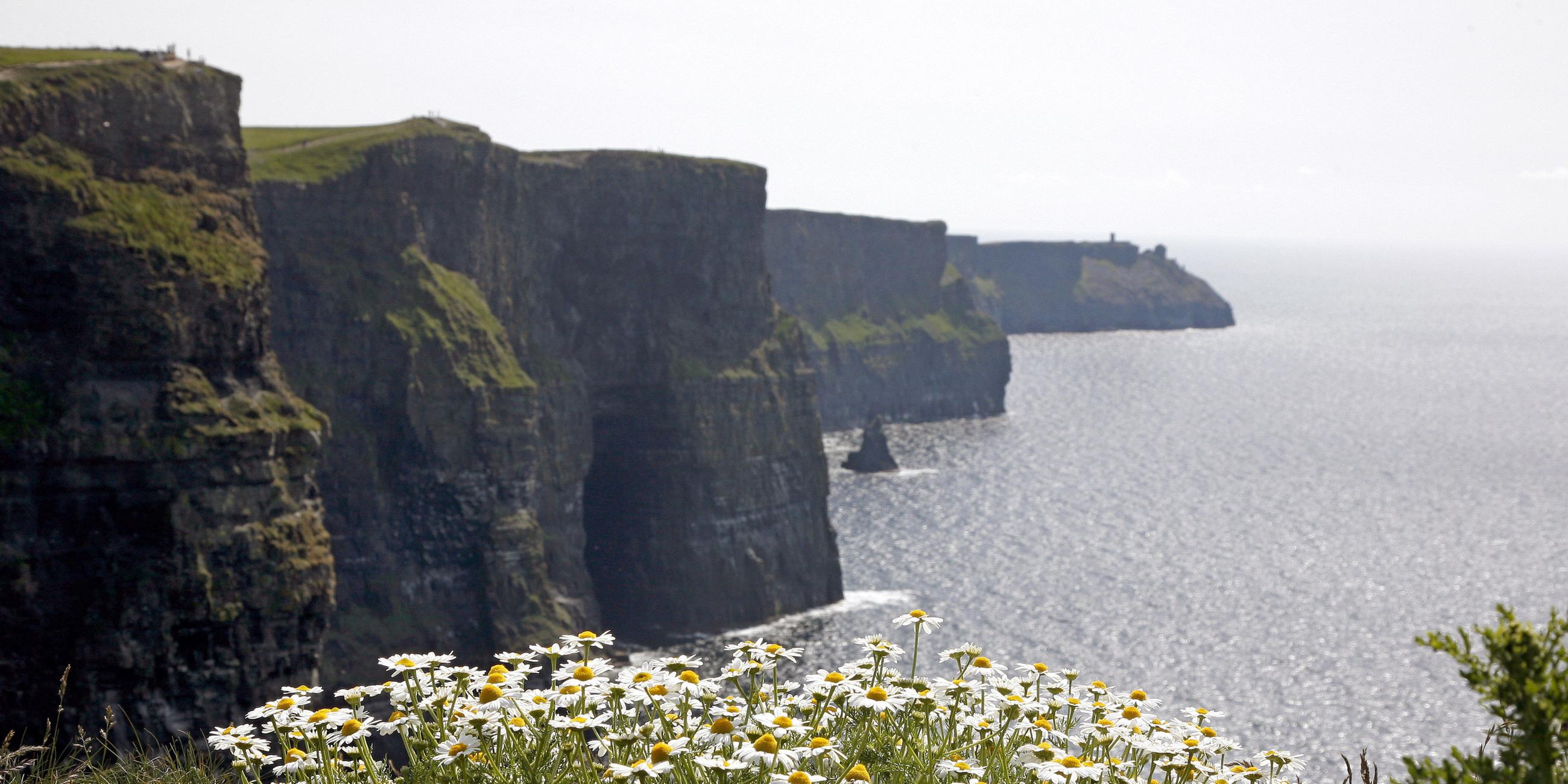 Die Klippen von Moher sind sehr hoch und liegen an der Westküste.