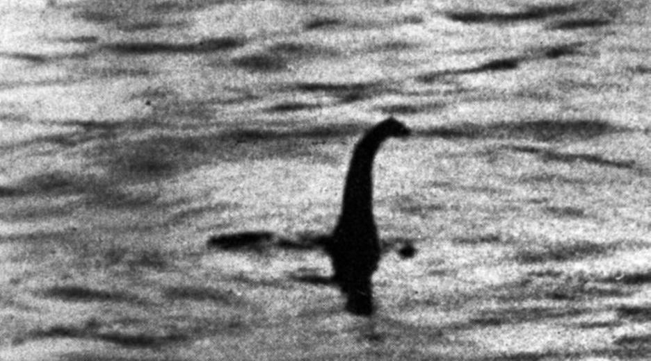 Das Geheimnis von Loch Ness: Nessie, Ungeheuet von Loch Ness, Kopf und Hals ragen aus dem Wasser.