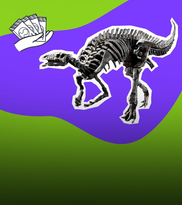 Dino-Skelett-Handel