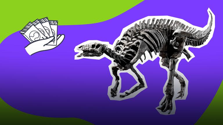 Dino-Skelett-Handel