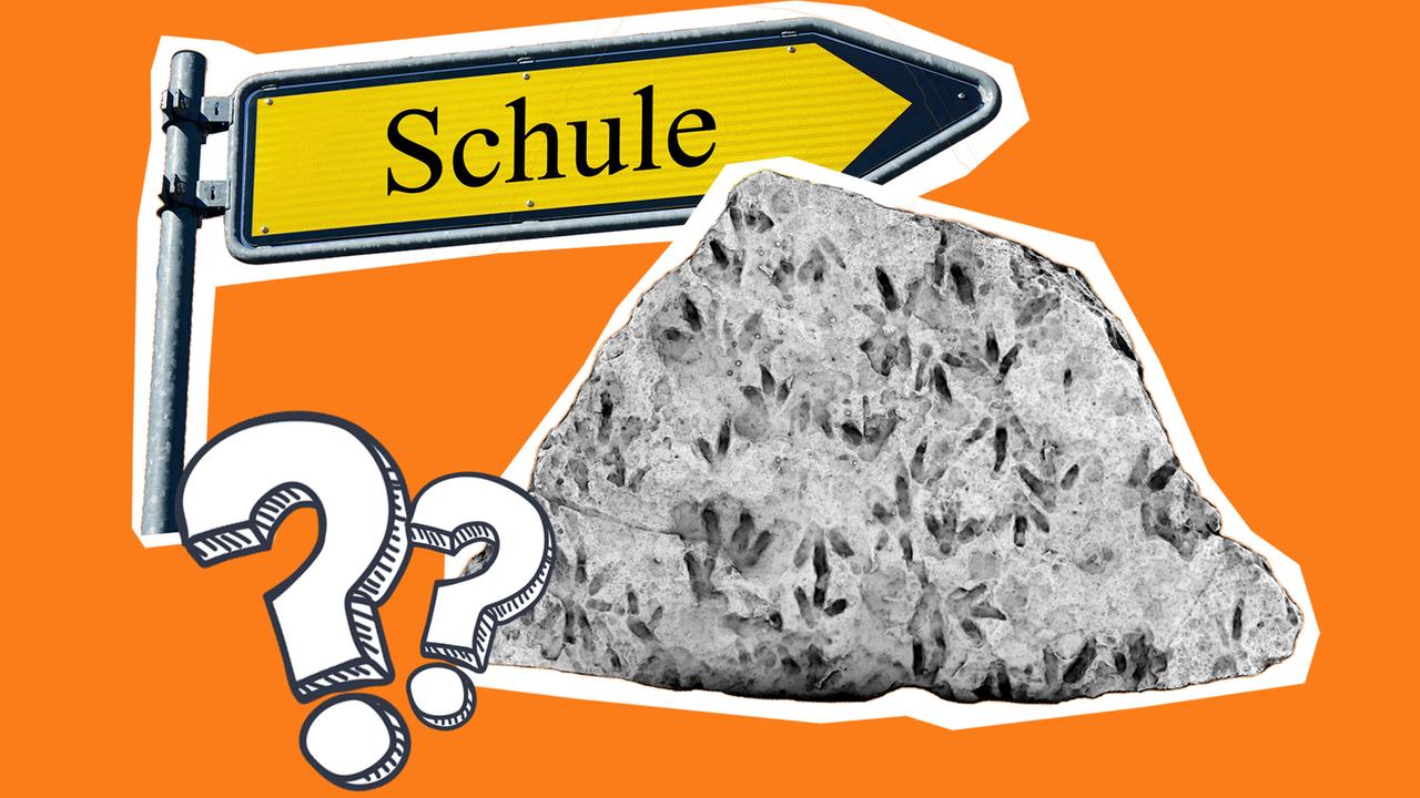 Dinofußspuren wurden an einer Schule gefunden