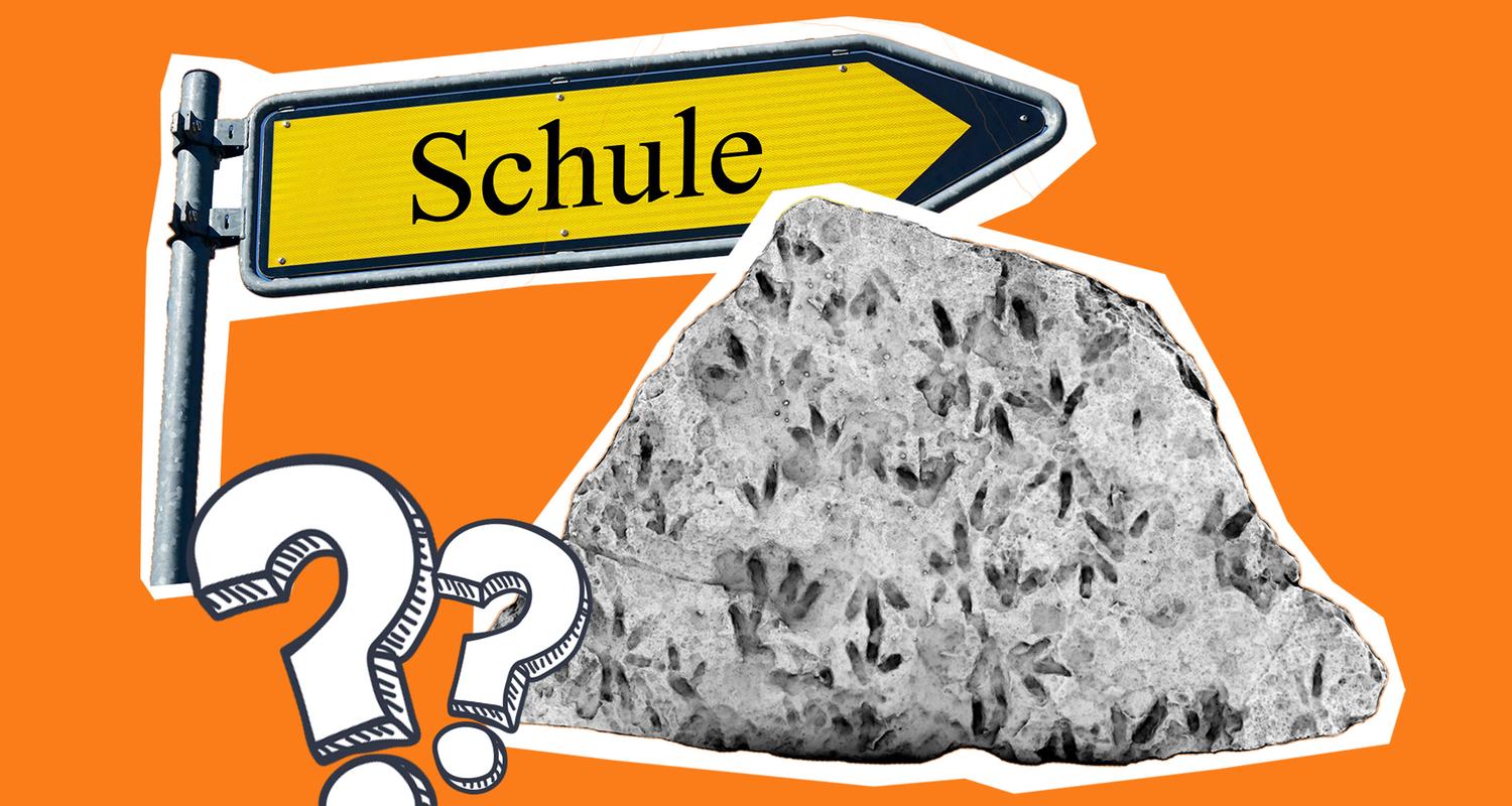 Dinofußspuren wurden an einer Schule gefunden