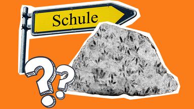 Dinofußspuren wurden an einer Schule gefunden
