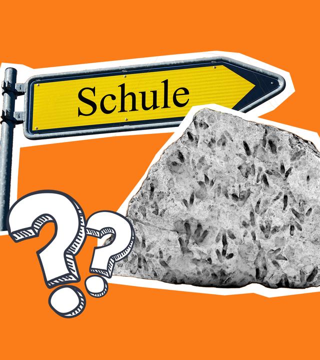 Dinofußspuren wurden an einer Schule gefunden