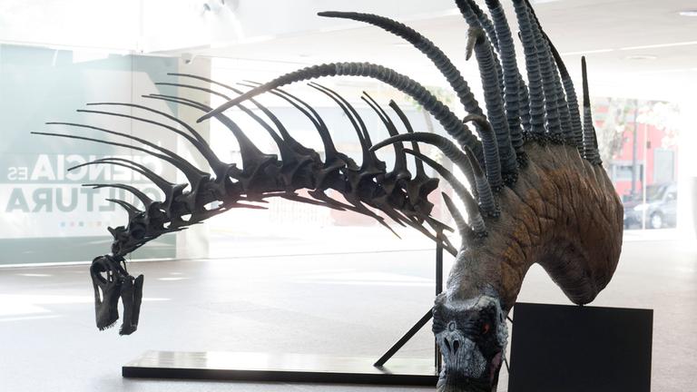 Dinosaurier-Skelett mit riesigen Stacheln