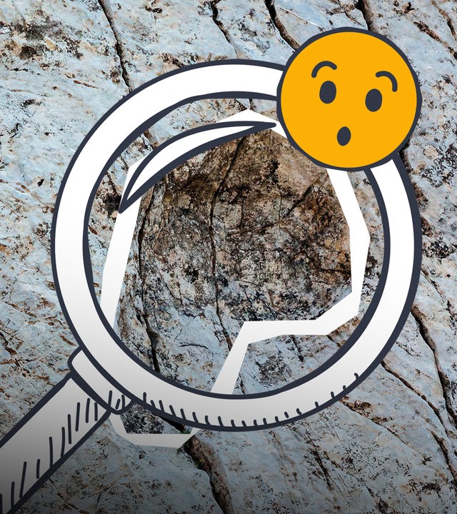 Dinospur; Lupe; erstauntes Emoji