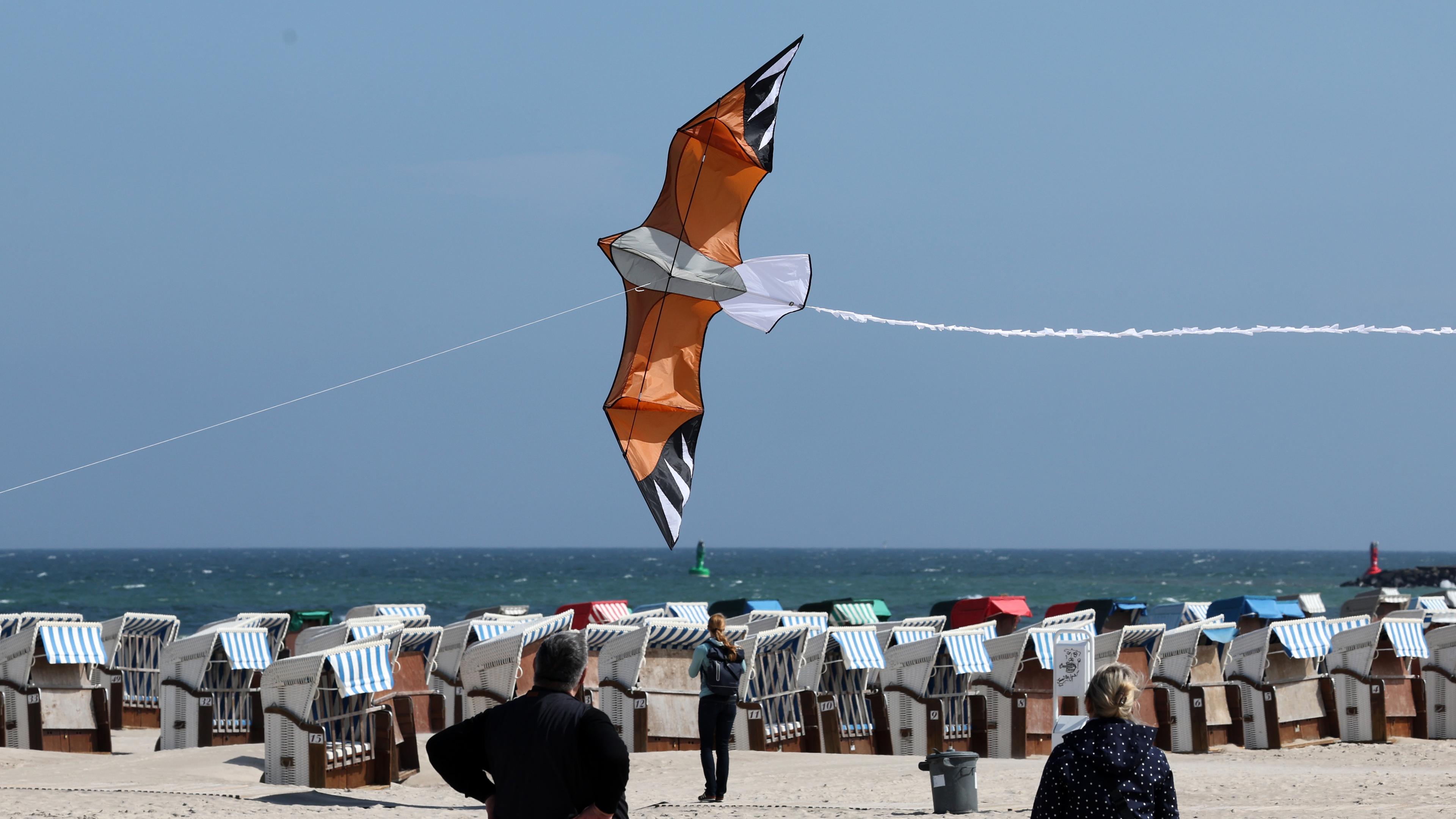 Eine Drache fliegt am wolkenlosen Himmel an der Ostsee