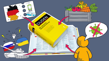 Grafiken für Deutschlandticket, Coronaleugner, Gemüsekiste und Ukrainekrieg und ein ausgeschnittener Duden und Pfeile