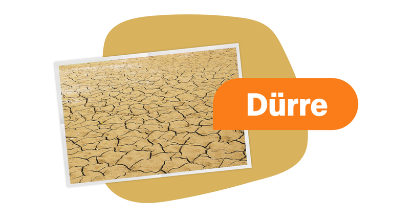 Auswirkungen von Dürre.