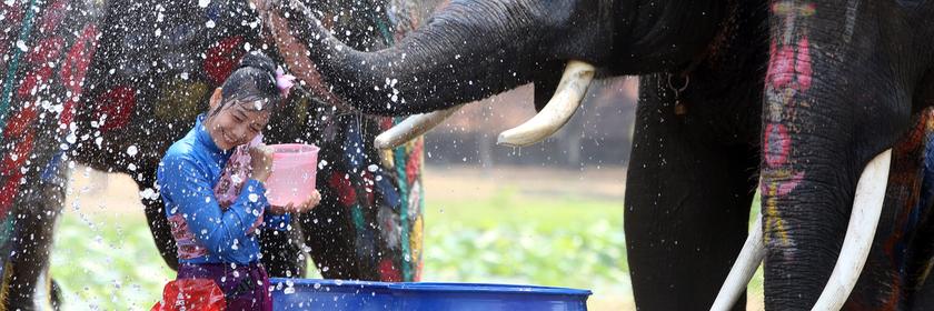 Elefanten spritzen mit Wasser vor dem Songkran Fest