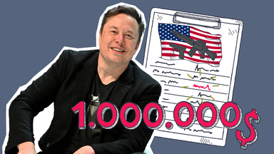 Elon Musk grinst, dazu eine Grafik mit einem Unterschriften-Klemmbrett mit Waffen und amerikanischer Flagge und eine Million Dollar.