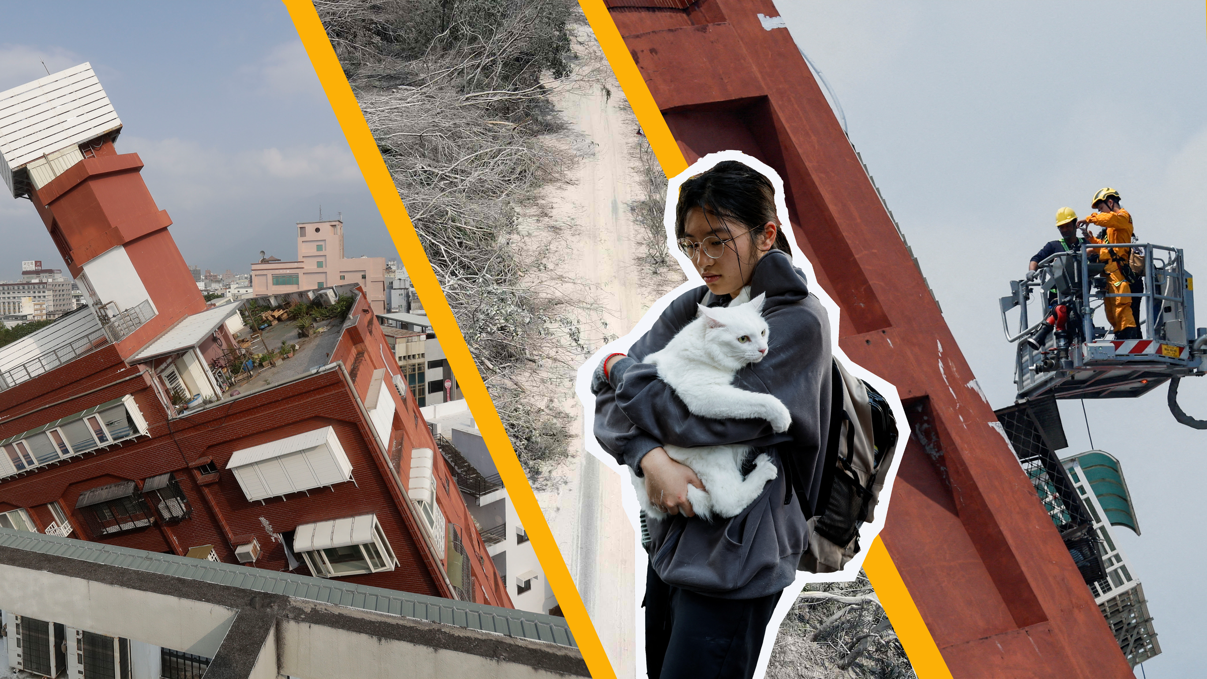 Drei Bilder von schiefen Häusern und umgeknickten Bäumen und ein Mädchen im Vordergrund mit sehr süßer weißer Katze.