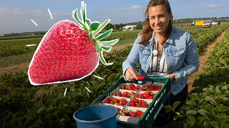 Magdalena auf einem Erdbeerfeld, vor ihr eine Kiste voll mit Erdbeeren. Daneben eine große Erdbeere mit weißer Umrandung und Strahlen.