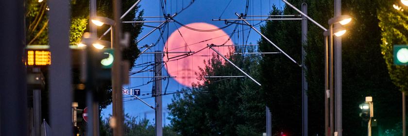 Der Mond steht in leicht rötlichen Ton über Frankfurt.