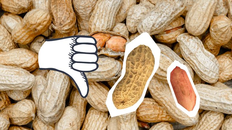 Mehrere Erdnüsse und ein Daumen, der nach unten zeigt.