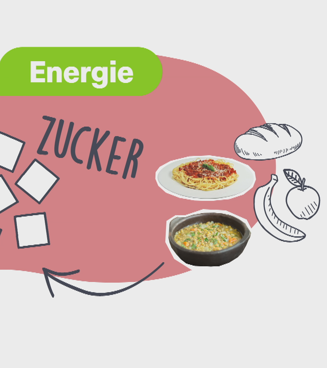 Erklärgrafik Diabetes