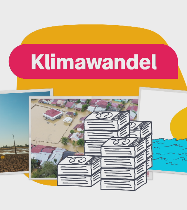 Erklärgrafik Kosten Klimawandel