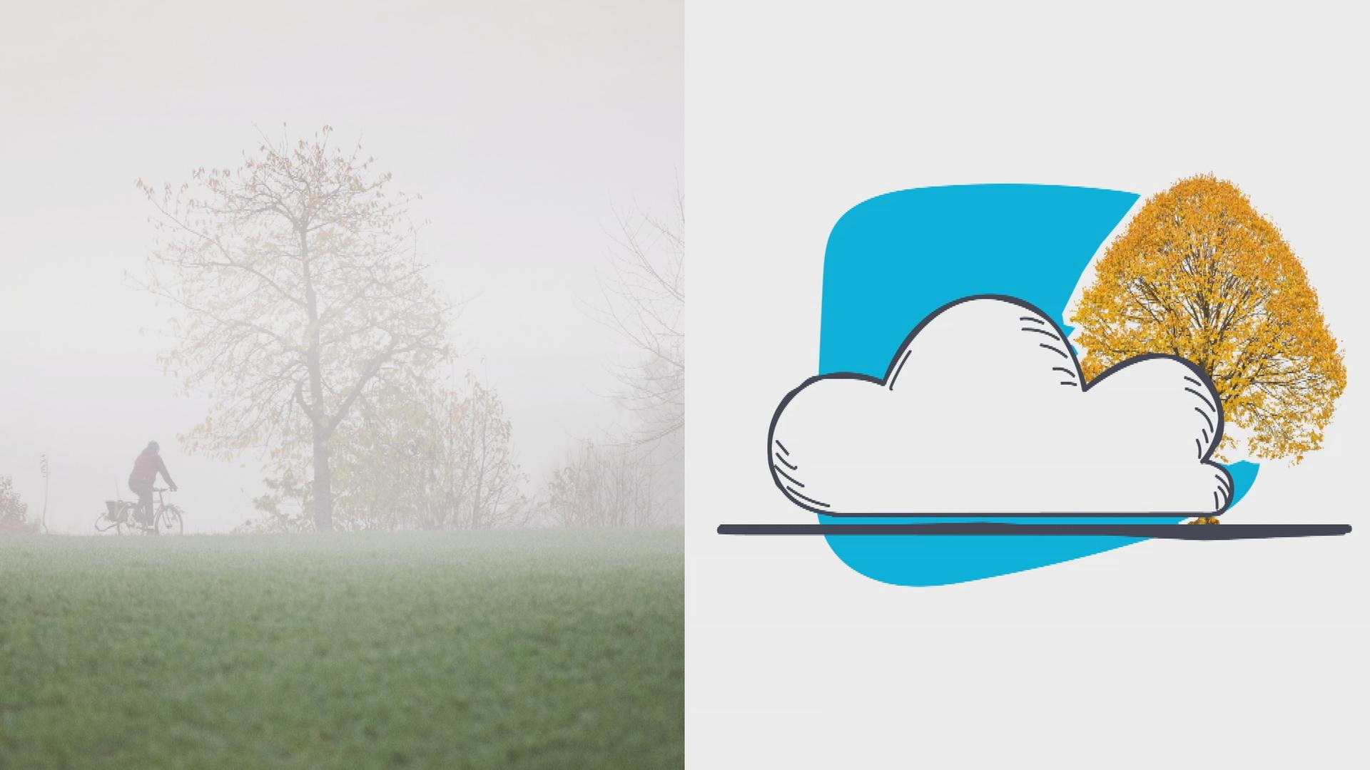 Erklärgrafik Nebel