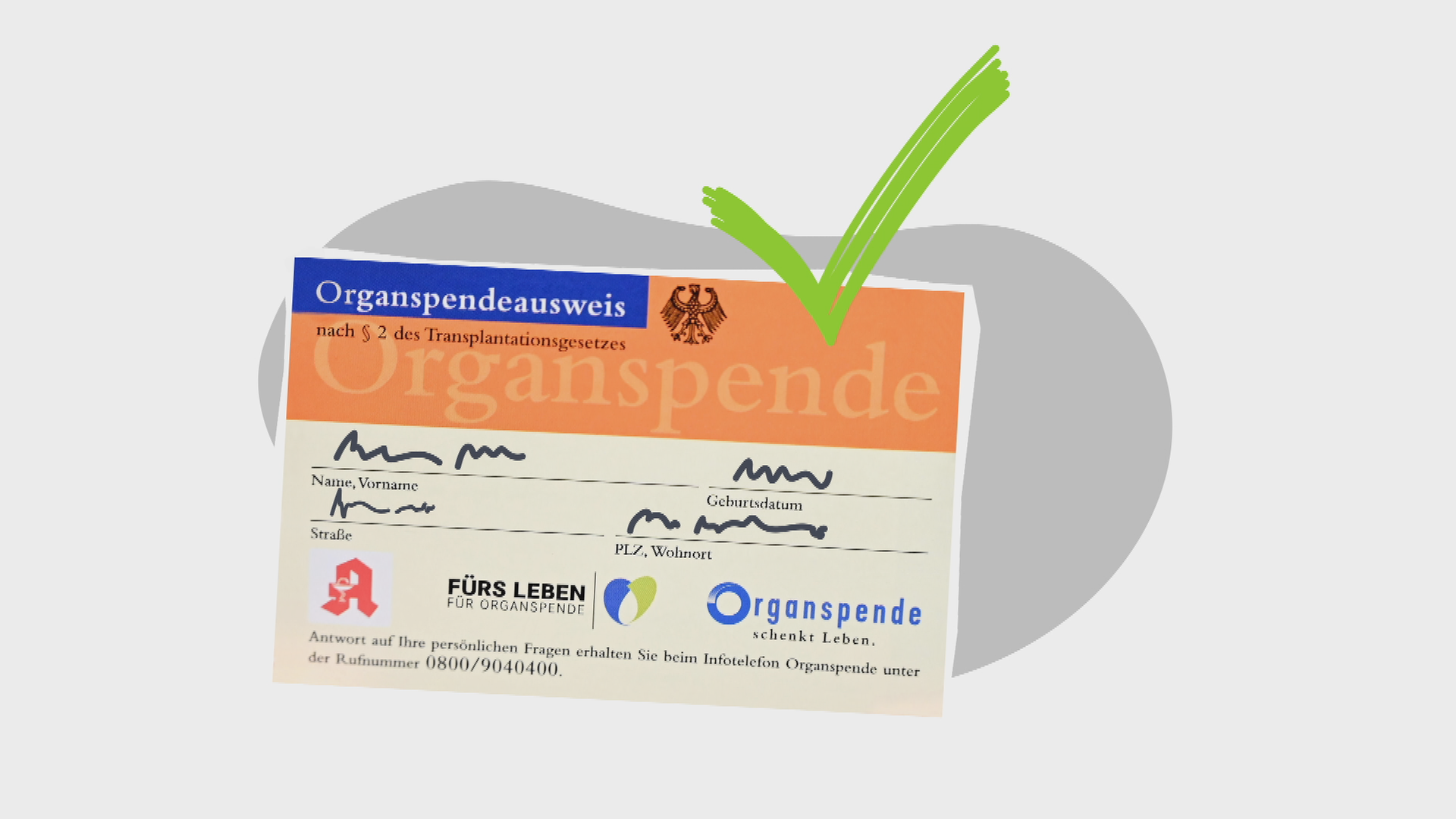 Erklärgrafik Organspende