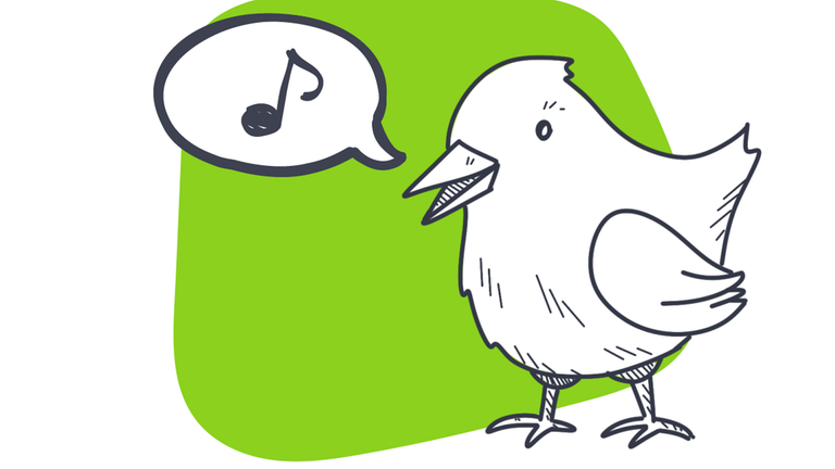 Erklärgrafik Vogelzwitschern