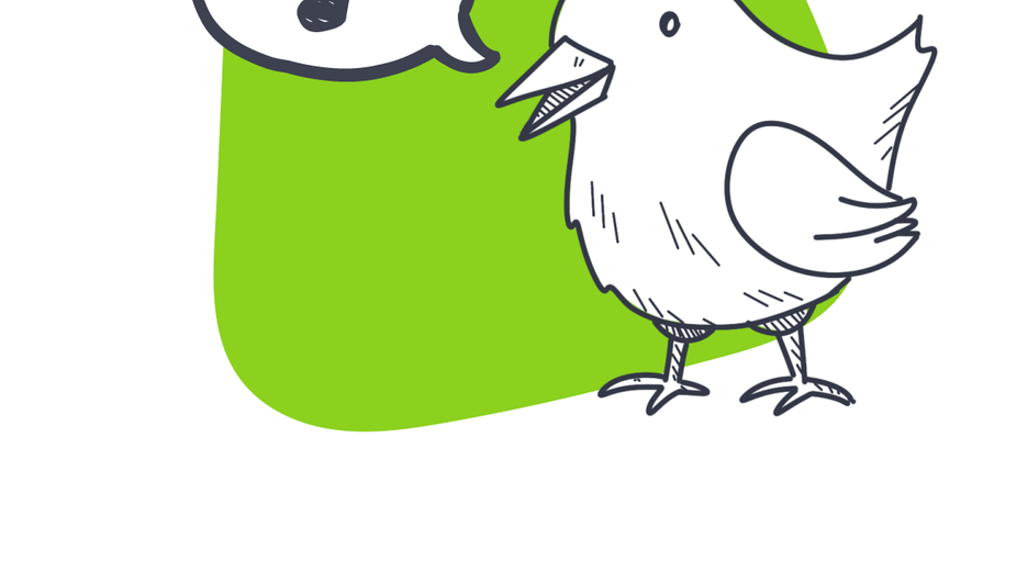 Erklärgrafik Vogelzwitschern