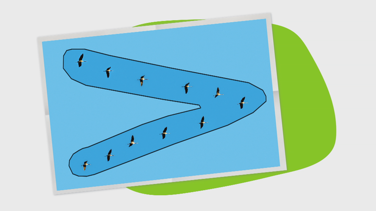 Erklärgrafik Zugvögel