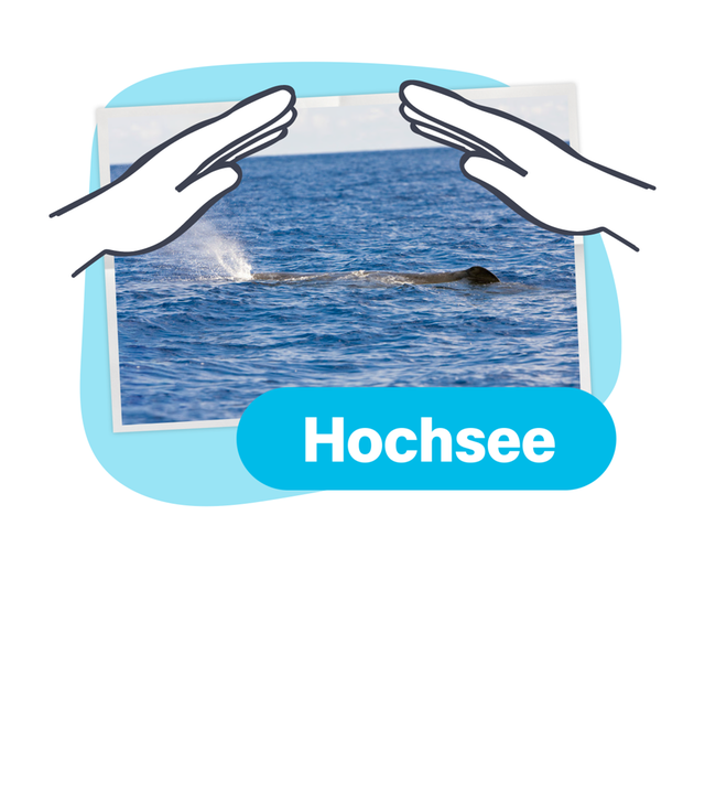 Schützende Hände über einem Bild vom Meer 