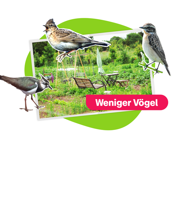 Grafik weniger Vögel