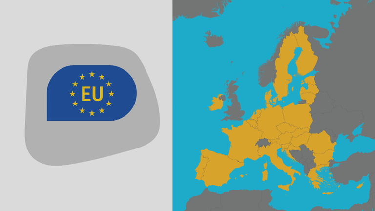 Erklärgrafik Europawahl