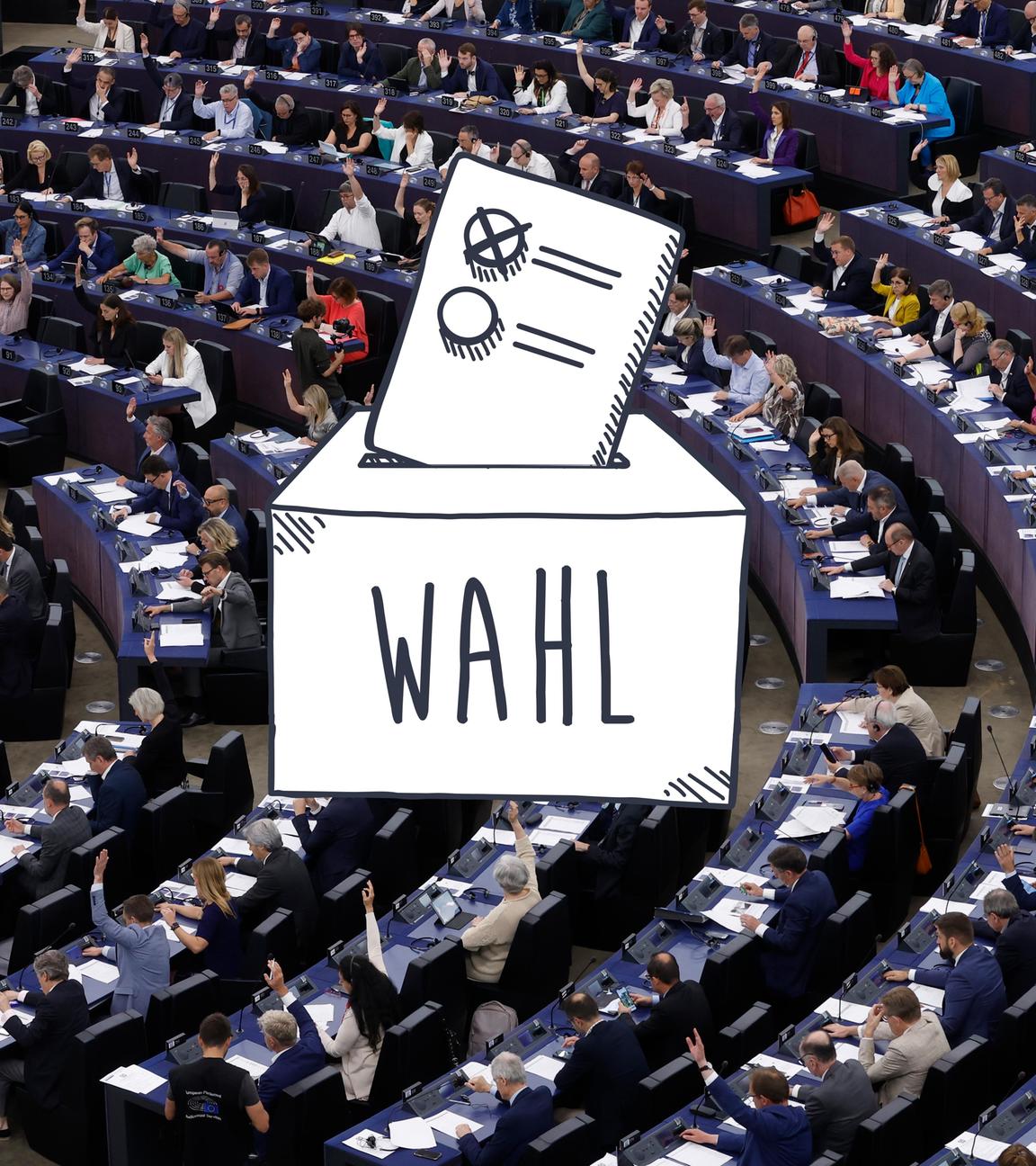 Die gewählten Politikerinnen und Politiker im Europäischen Parlament