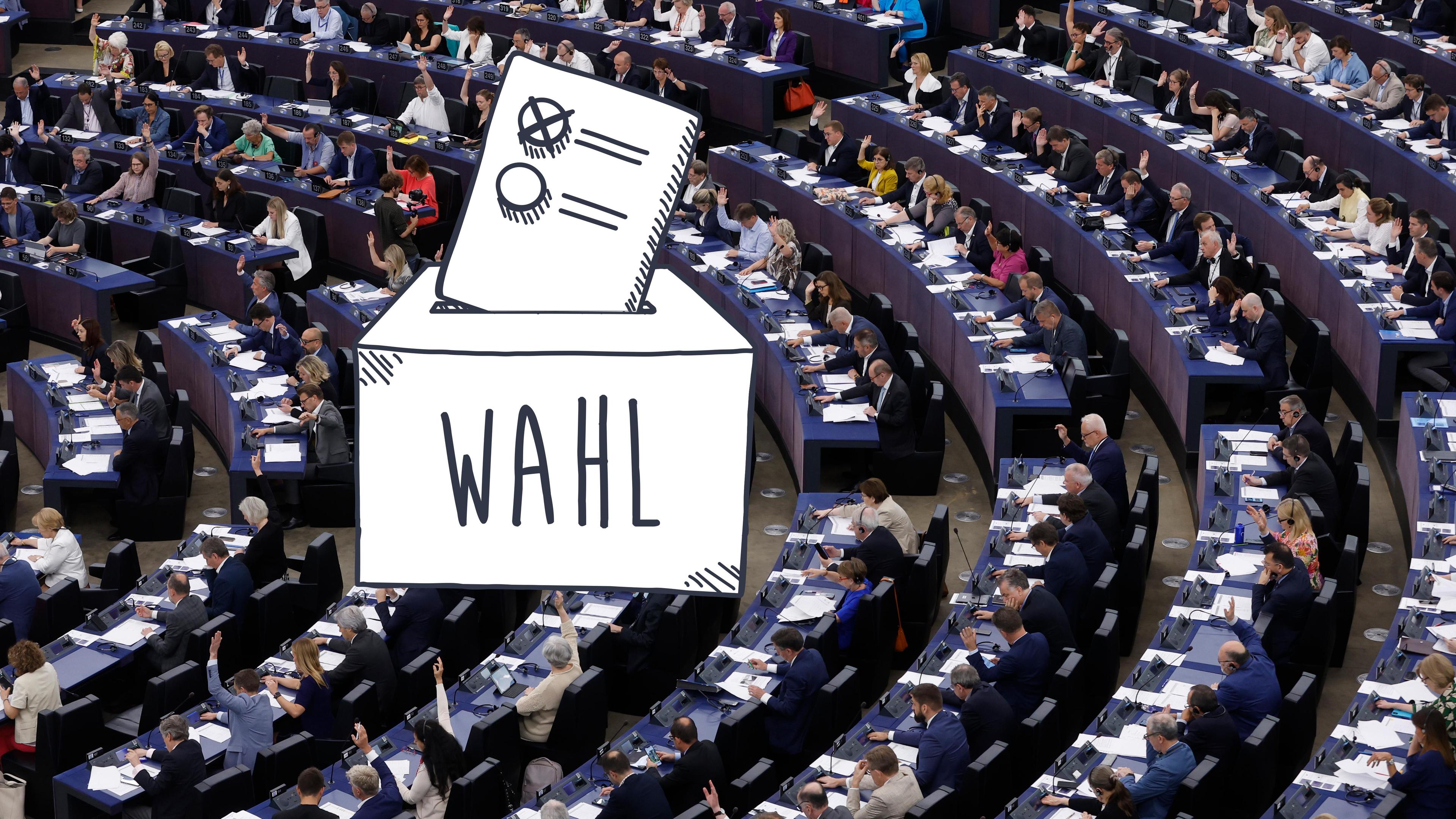Die gewählten Politikerinnen und Politiker im Europäischen Parlament