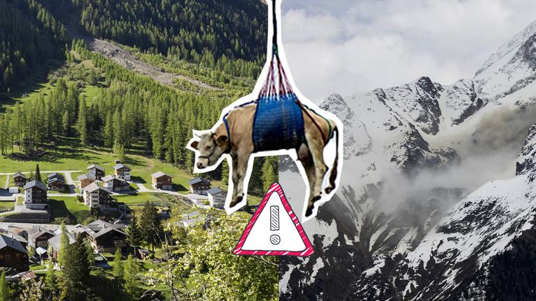 Bildcollage: Bergdorf Blatten + Felssturz auf Berg, davon Kuh, die mit Seil über Bergdorf geflogen wird, dazu Warnschild