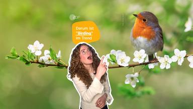 Birding 