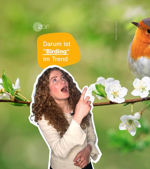 Birding 