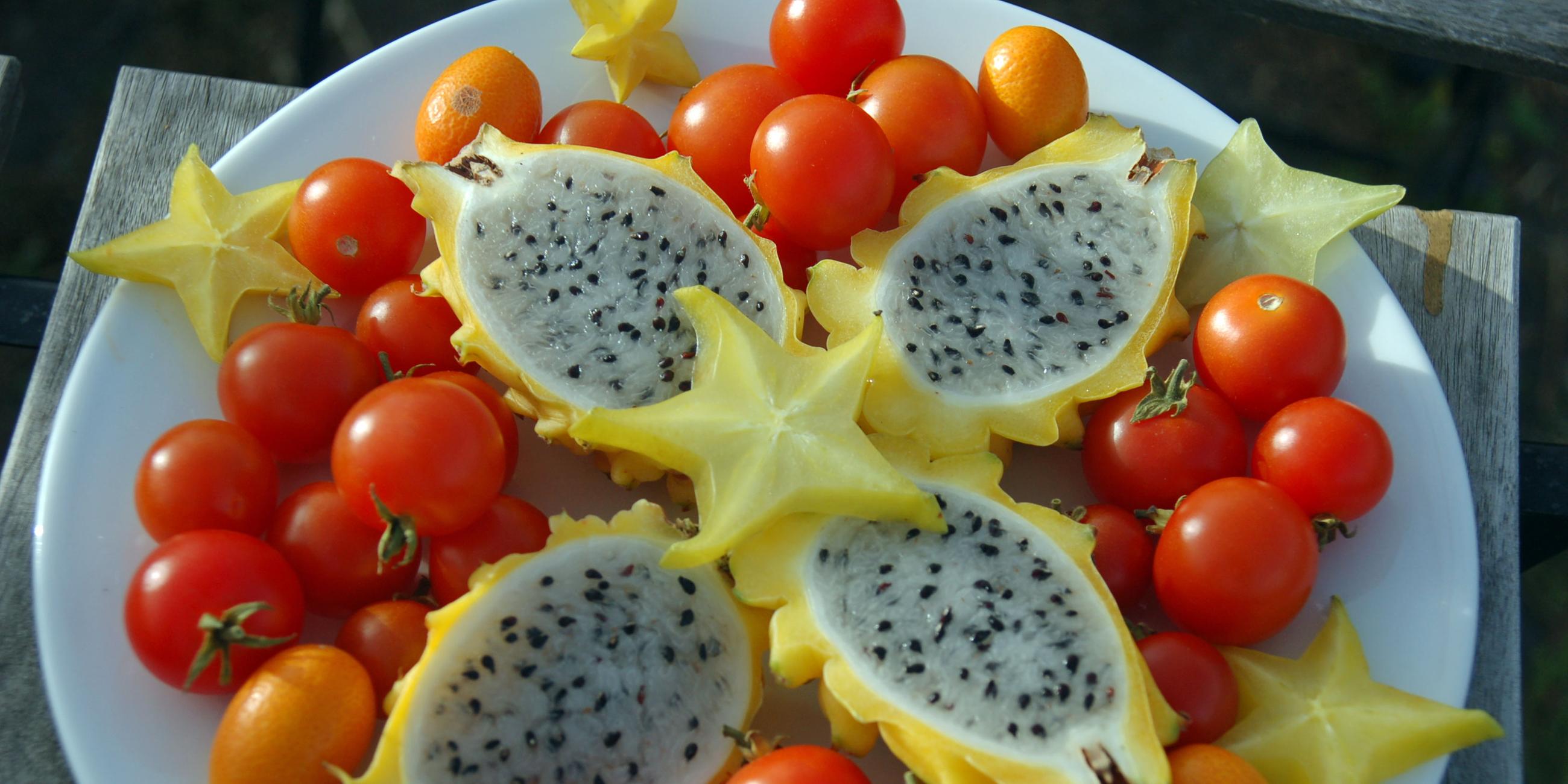 Leckerer Früchteteller