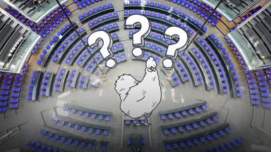 Ein grafisches Huhn steht im leeren Plenarsaal des Bundestags und hat drei Fragezeichen über dem Kopf