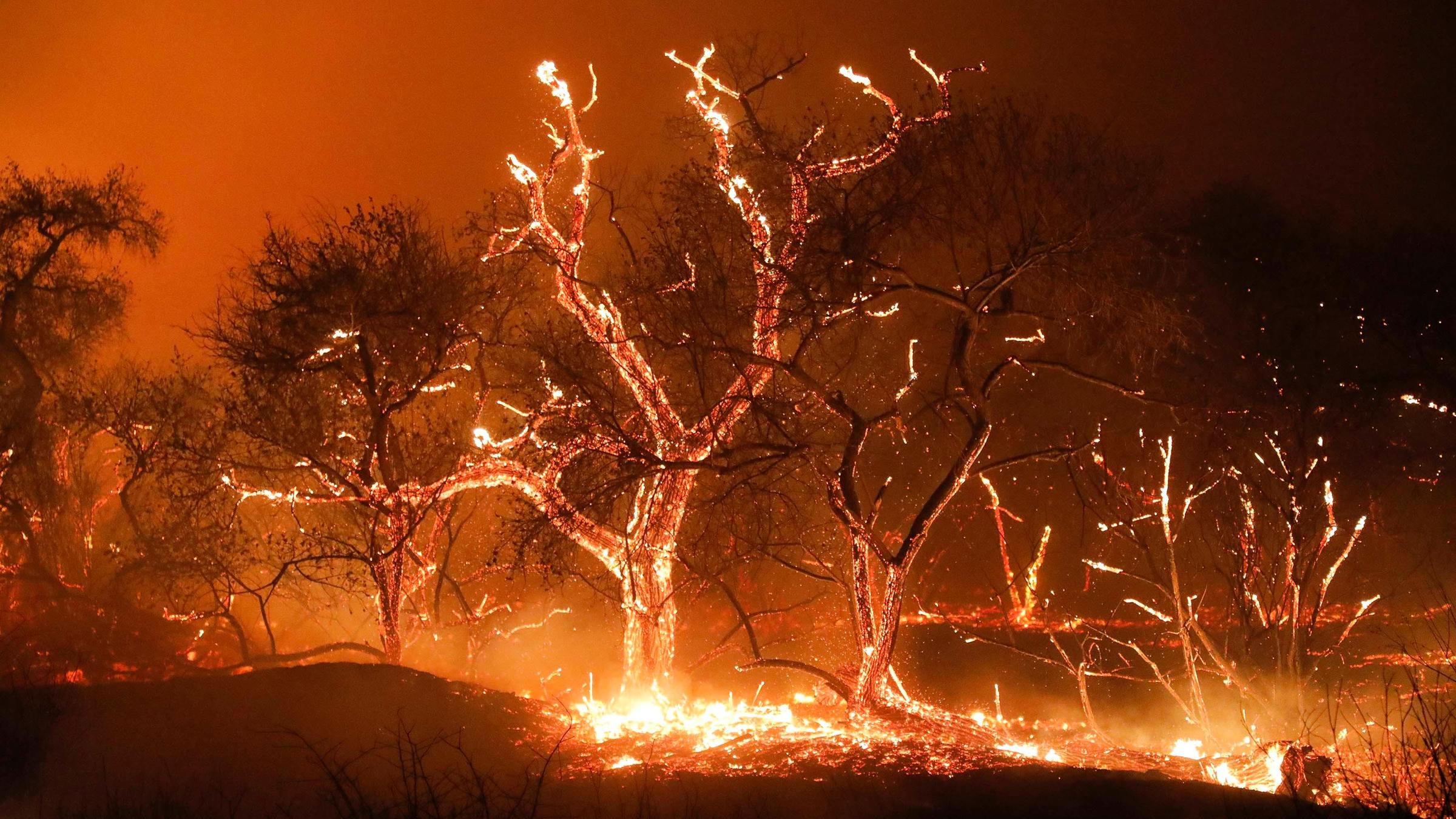 Feuer in Kalifornien 