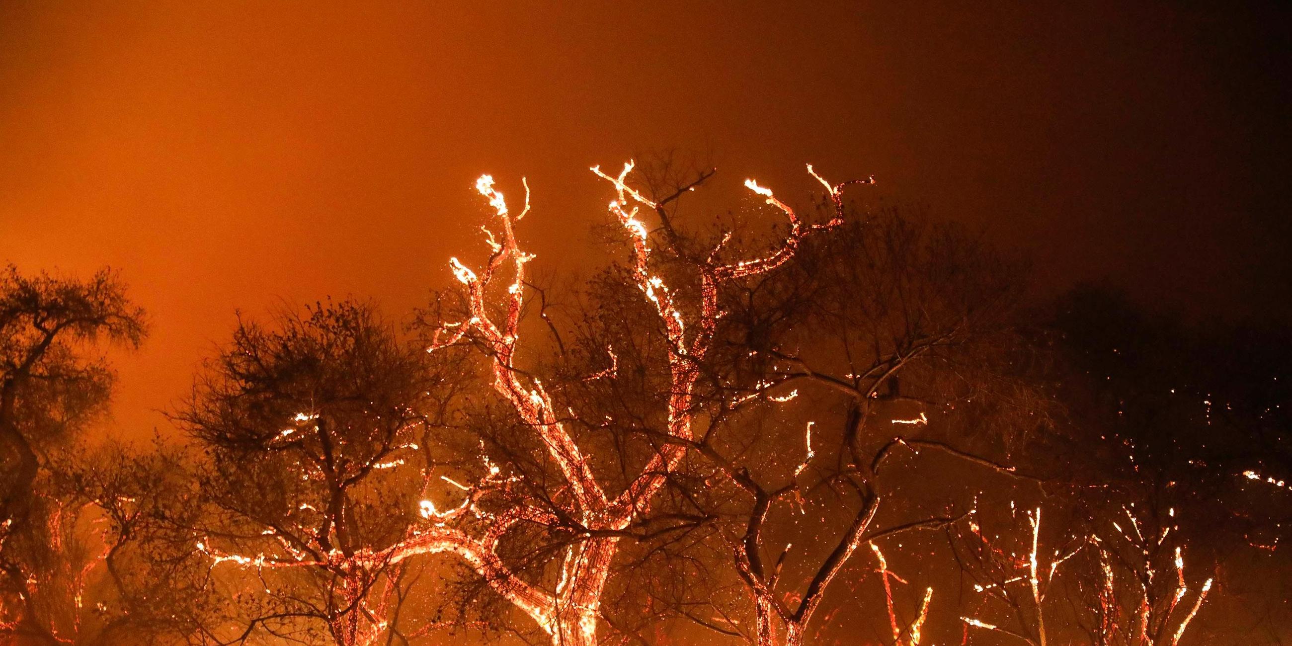 Feuer in Kalifornien 