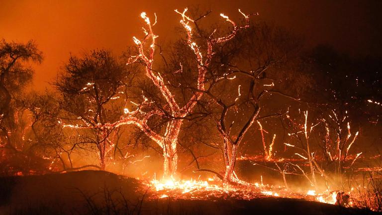 Feuer in Kalifornien 