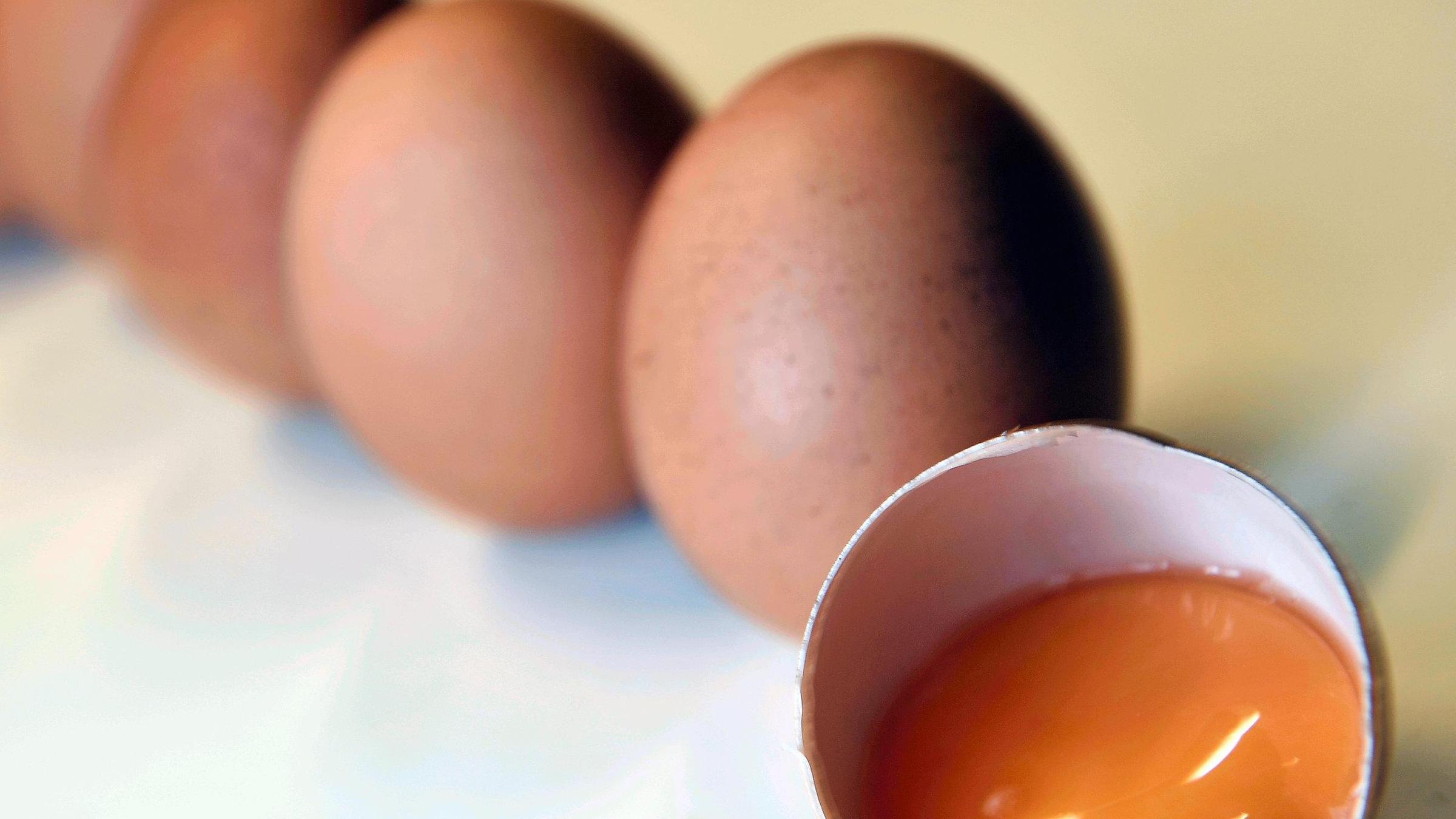 Mit Fipronil belastete Eier