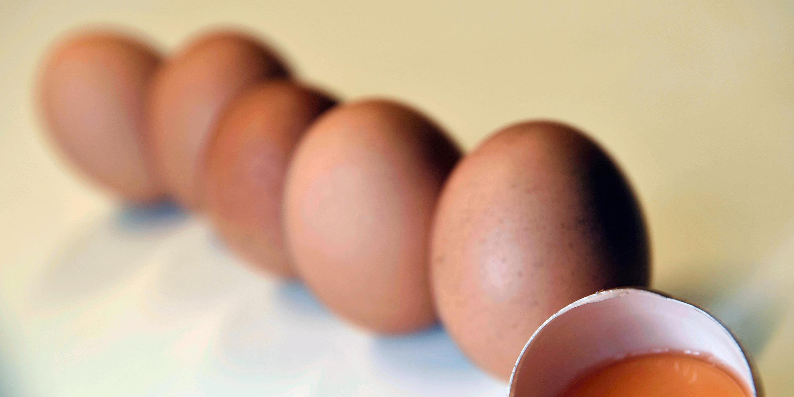 Mit Fipronil belastete Eier