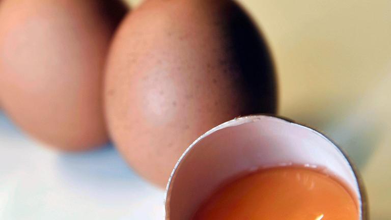 Mit Fipronil belastete Eier