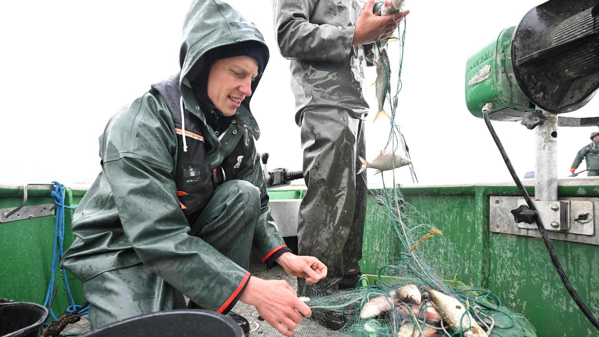 Fischinventur am Bodensee