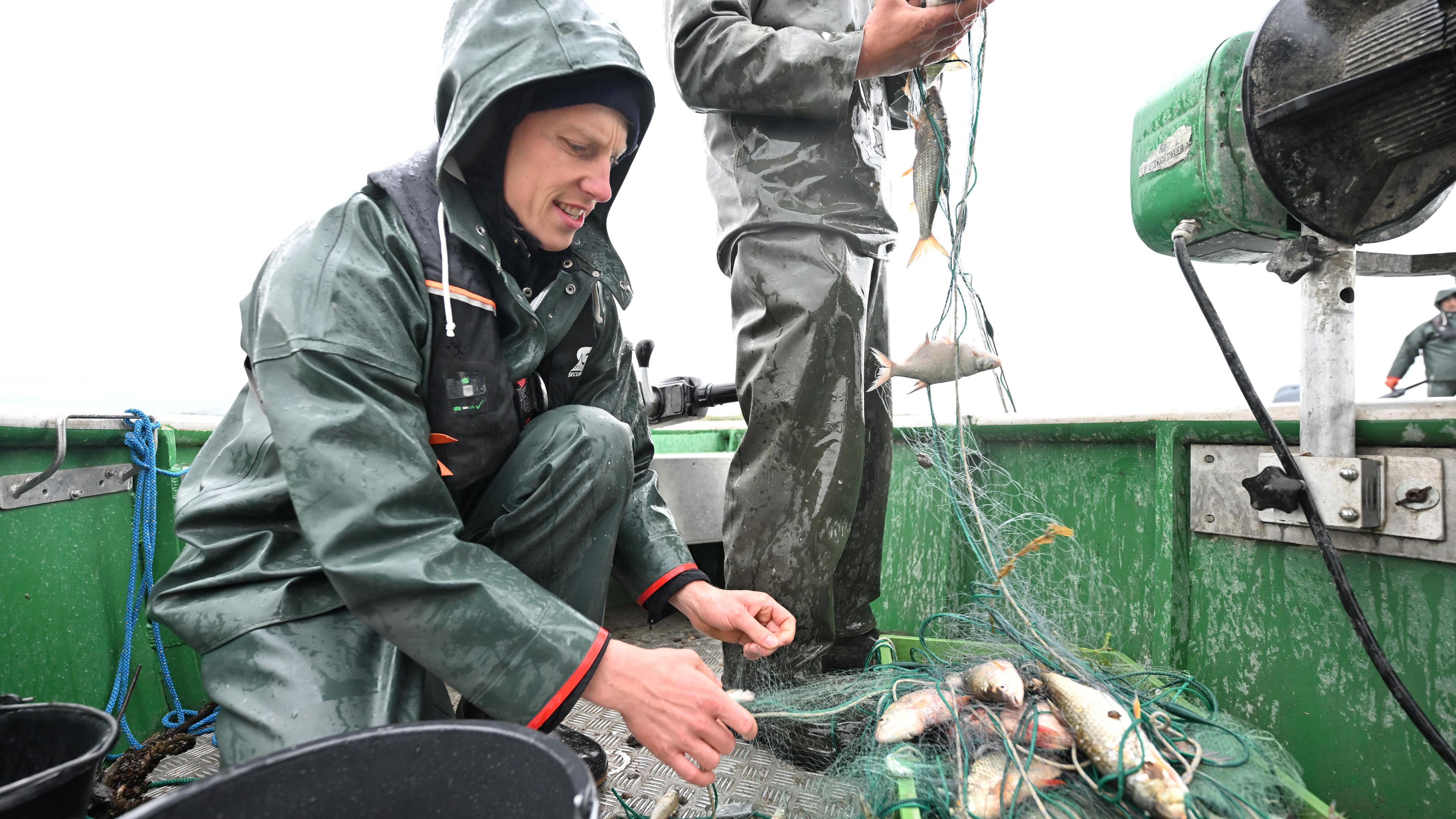 Fischinventur am Bodensee
