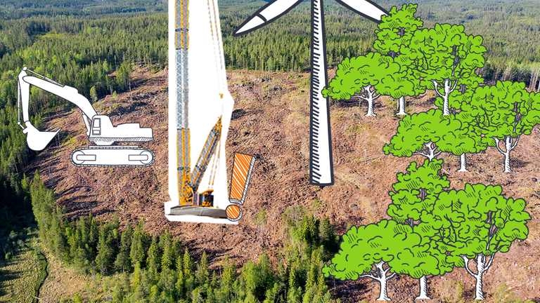 Gerodete Fläche mit WIndrad, Bäumen und Bagger