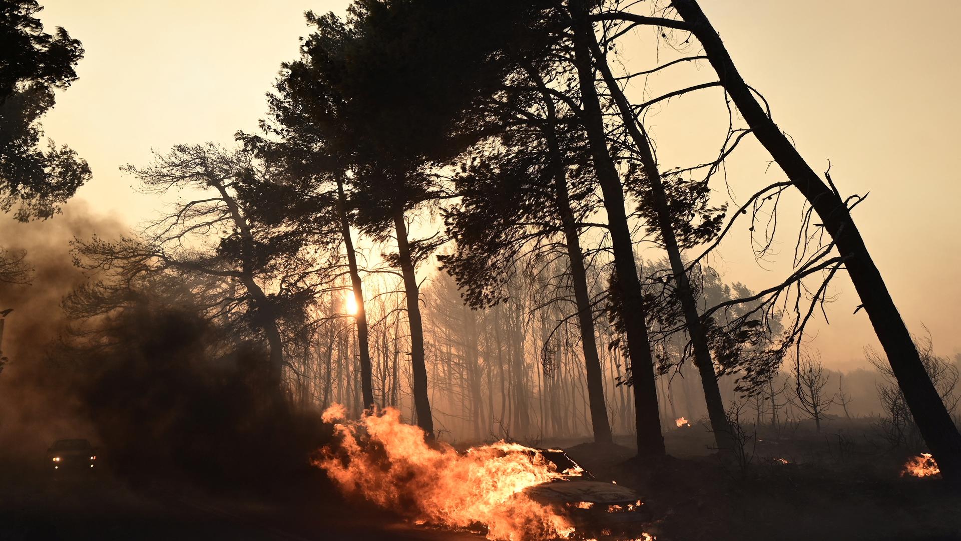 Ein brennendes Auto in einem brennenden Wald.