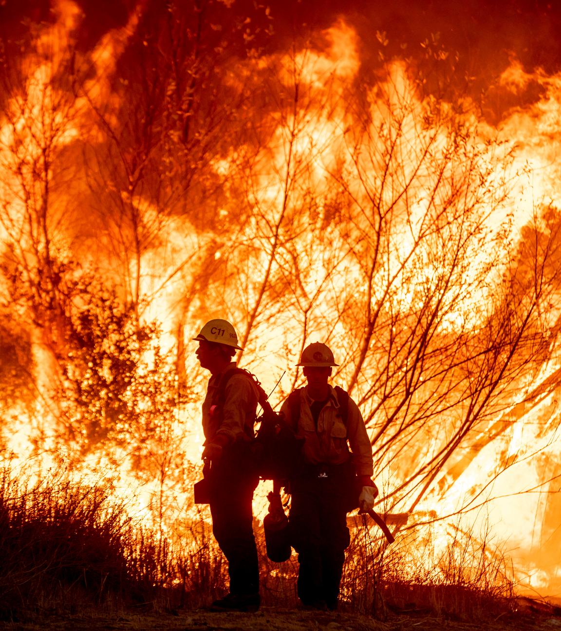 Zwei Feuerwehrmänner stehen vor einem hell brennenden Waldstück.