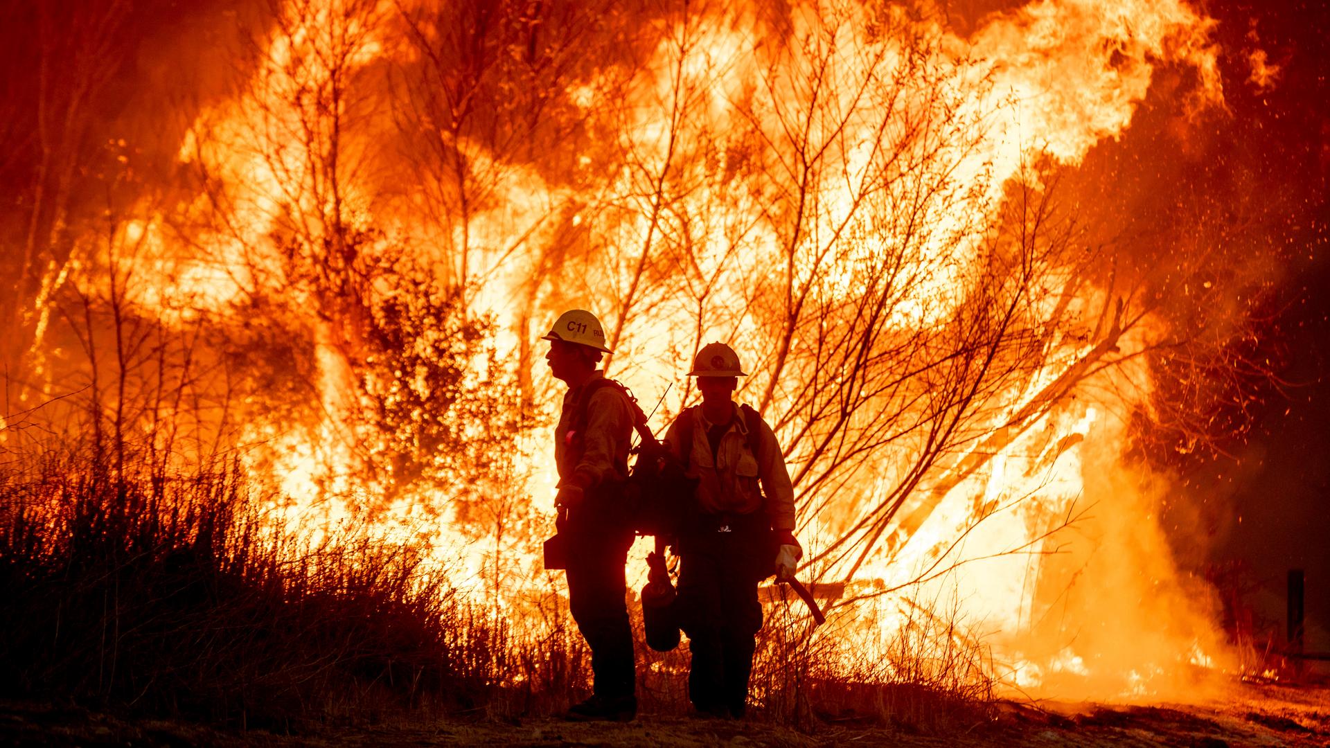 Zwei Feuerwehrmänner stehen vor einem hell brennenden Waldstück.
